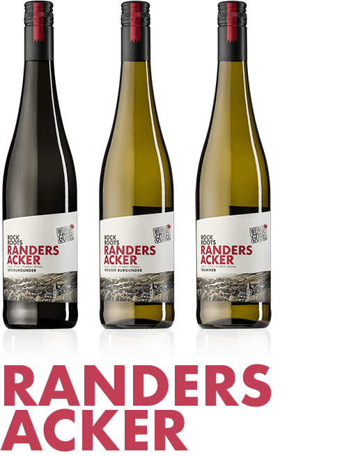 Weine RANDERSACKER 504 2