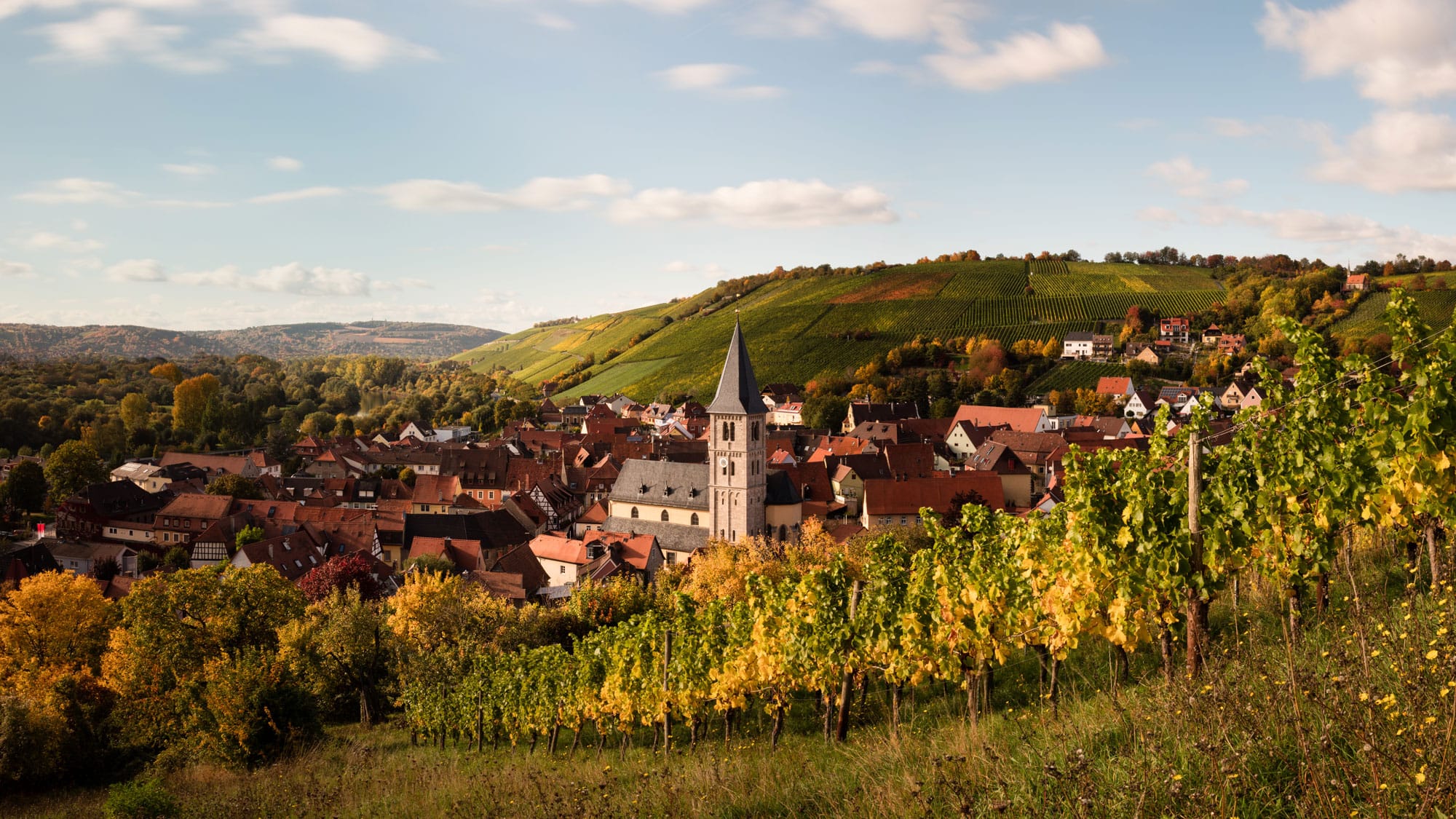 Ansicht dort mit weingut panoramaaufnahme 1