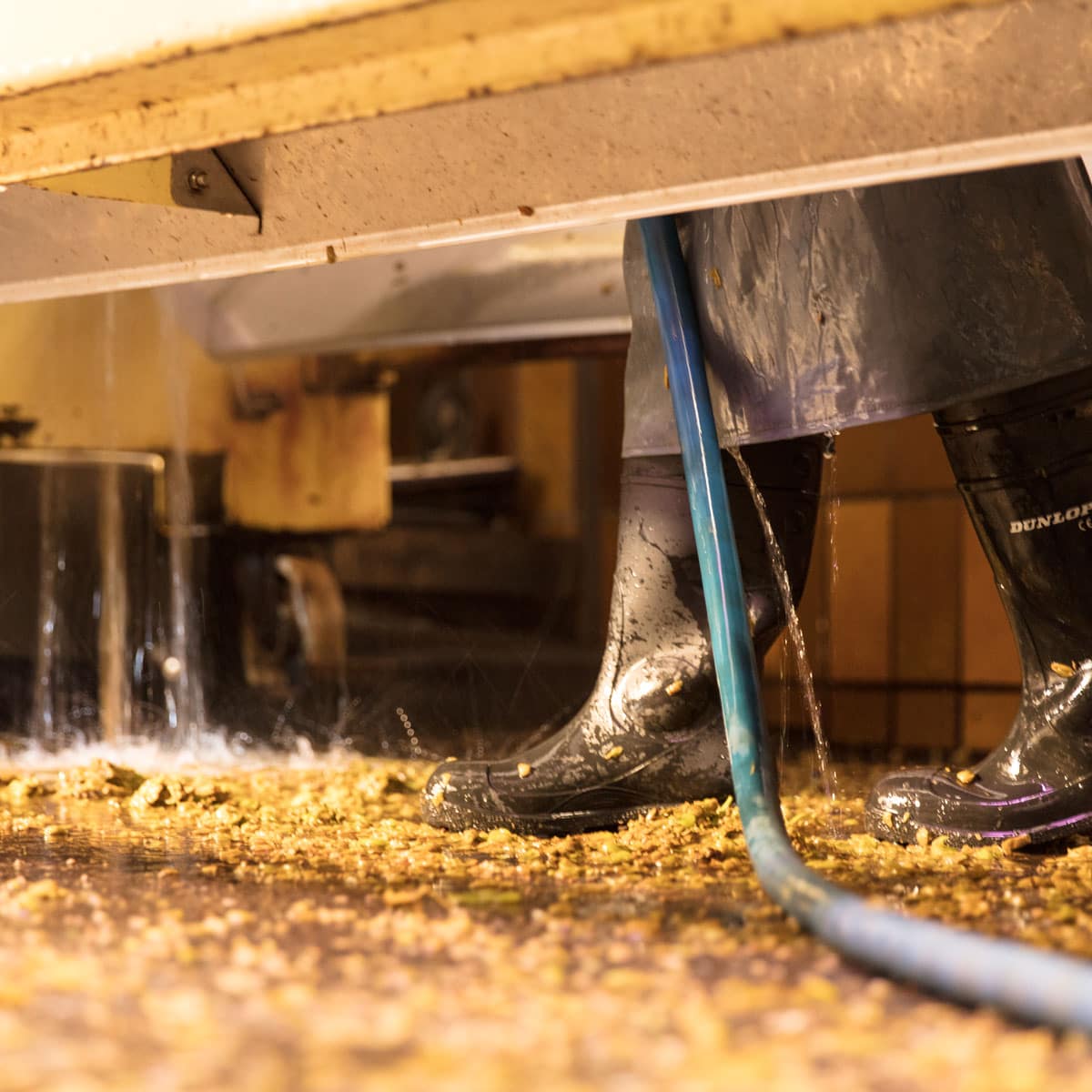 Gummistiefel weintrauben boden