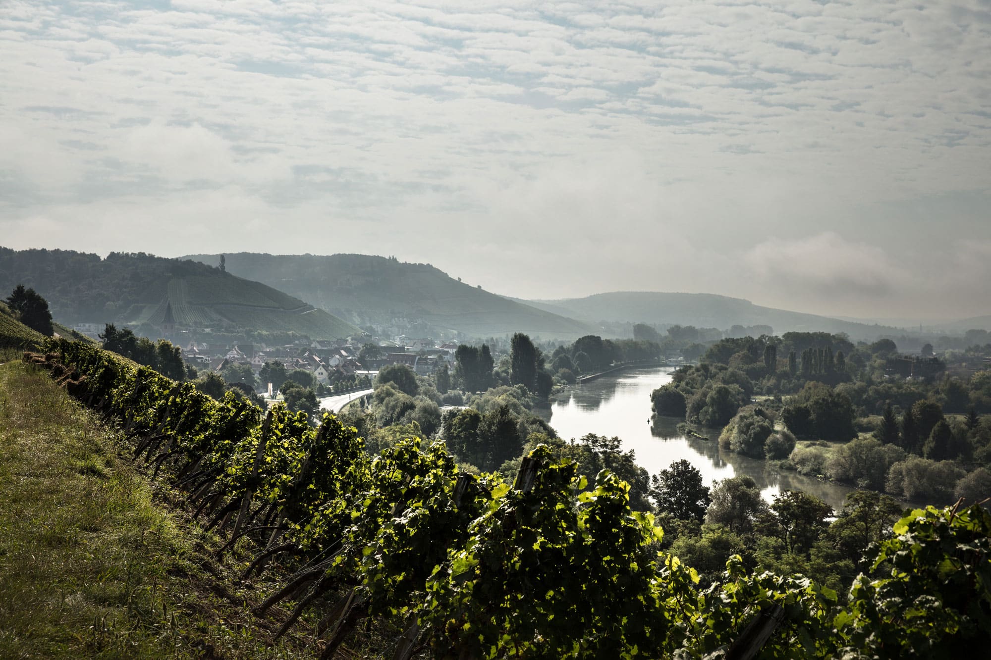 Weingut von oben